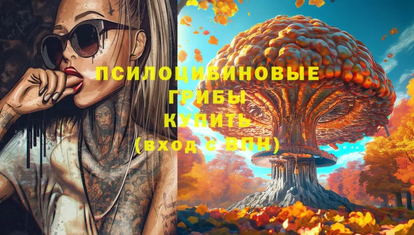 эйфоретик Алексин