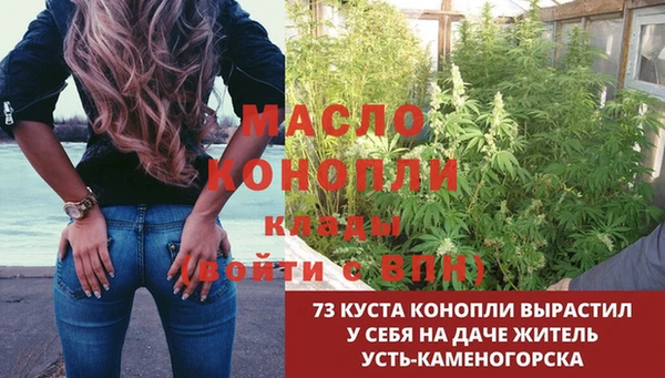 эйфоретик Алексин